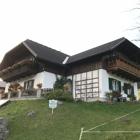Ferienwohnung Syen Grundlsee Ngoại thất bức ảnh